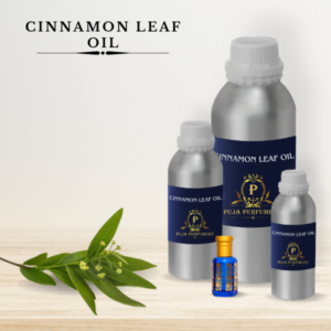 Buy Cinnamon Leaf Essential Oil