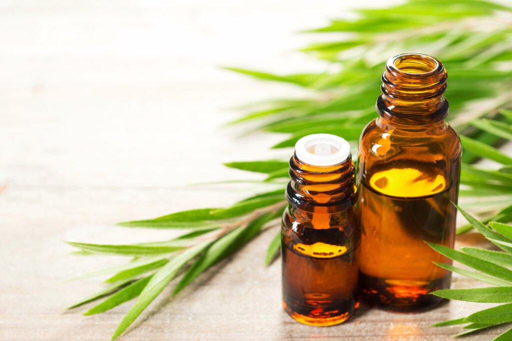 benefits of tea tree essential oils