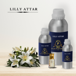 Lilly Attar