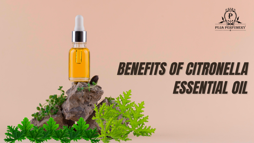 benefits of citronella essential oil