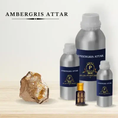 Buy Ambergris ittar in India