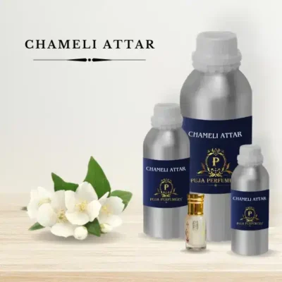 Best Chameli Attars in Kannauj
