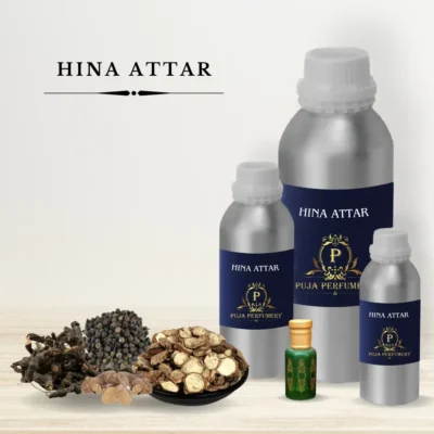 Hina Attar