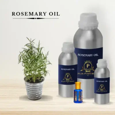 Rosemary essential oil in kannauj
