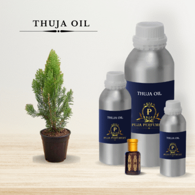Thuja Essential Oil